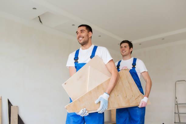 Best Scrap Metal Removal  in Lakeview, OH