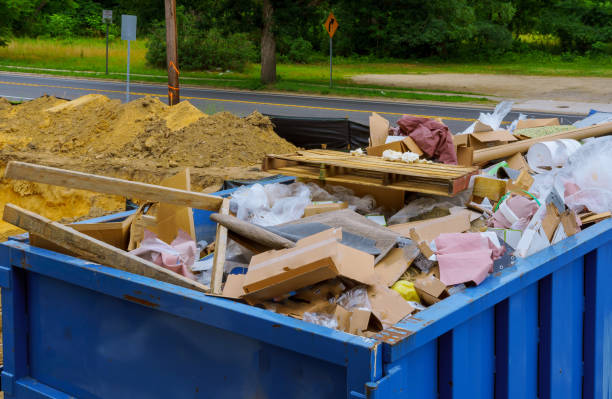 Best Shed Removal  in Lakeview, OH